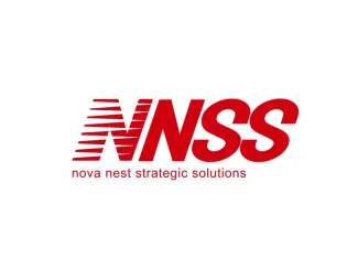 Nova Nest Strategic Solutions