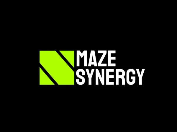 Maze Synergy
